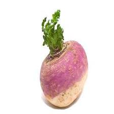 Turnips